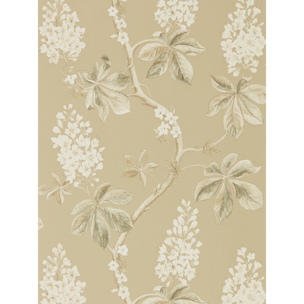 Chestnut Tree Wallpaper 215711 by Sanderson in Wheat Beige